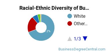 Racial-ethnic diversity of Business Administration & Management majors at Missouri Baptist University