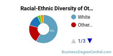 Racial-ethnic diversity of Other Business & Marketing majors at Missouri University of Science and Technology