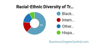 Racial-Ethnic Diversity of Transportation/Mobility Management Majors at Morgan State University