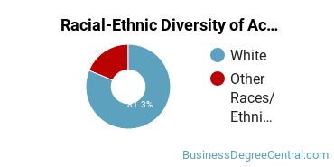 Racial-Ethnic Diversity of Accounting Technology/Technician and Bookkeeping Majors at Mott Community College