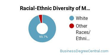 Racial-Ethnic Diversity of Marketing/Marketing Management, General Majors at Mount Mercy University