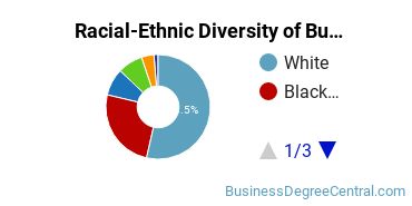 Racial-ethnic diversity of Business Administration & Management majors at University of Mount Olive