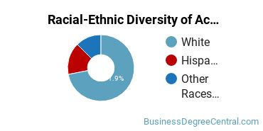 Racial-Ethnic Diversity of Accounting Majors at Mount Saint Mary College