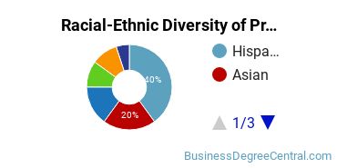 Racial-Ethnic Diversity of Project Management Majors at Mount Saint Mary's University