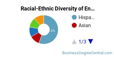 Racial-Ethnic Diversity of Entrepreneurship Majors at Mount Saint Mary's University