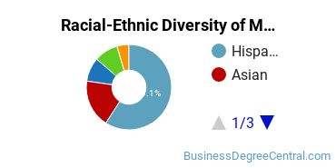 Racial-Ethnic Diversity of Marketing/Marketing Management, General Majors at Mount Saint Mary's University