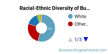 Racial-ethnic diversity of Business Administration & Management majors at Murray State College