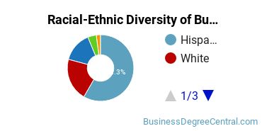 Racial-ethnic diversity of Business Administration & Management majors at Napa Valley College