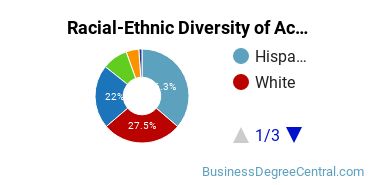 Racial-Ethnic Diversity of Accounting Technology/Technician and Bookkeeping Majors at Nassau Community College