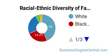 Racial-Ethnic Diversity of Fashion Merchandising Majors at Nassau Community College