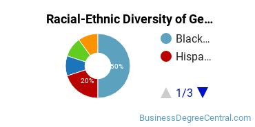Racial-Ethnic Diversity of General Human Resources Management/Personnel Administration Majors at National Louis University