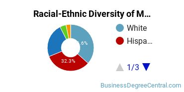 Racial-Ethnic Diversity of Management Science Majors at National Louis University