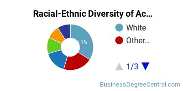 Racial-Ethnic Diversity of Accounting Majors at National University