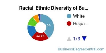 Racial-ethnic diversity of Business Administration & Management majors at National University