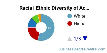 Racial-Ethnic Diversity of Accounting Technology/Technician and Bookkeeping Majors at Naugatuck Valley Community College