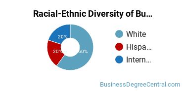 Racial-Ethnic Diversity of Business & Office Technology Majors at Navarro College