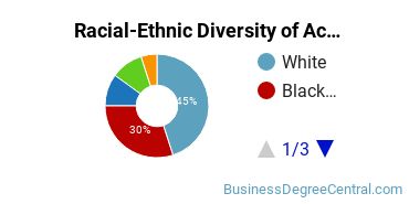Racial-Ethnic Diversity of Accounting Majors at New England College