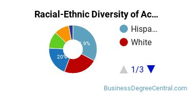 Racial-Ethnic Diversity of Accounting Majors at New Jersey City University