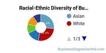 Racial-ethnic diversity of Business Administration & Management majors at New Jersey Institute of Technology