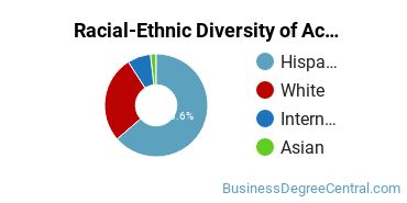 Racial-Ethnic Diversity of Accounting Majors at New Mexico State University - Main Campus