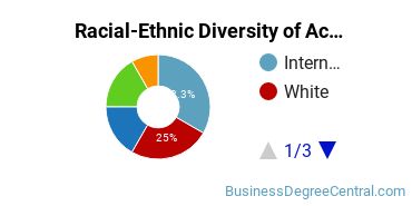 Racial-Ethnic Diversity of Accounting Majors at New York Institute of Technology