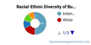 Racial-ethnic diversity of Business Administration & Management majors at New York Institute of Technology