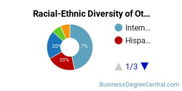 Racial-Ethnic Diversity of Other Management Sciences and Quantitative Methods Majors at New York University