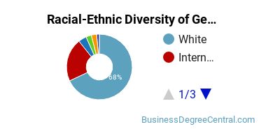 Racial-Ethnic Diversity of General Business/Commerce Majors at Niagara University
