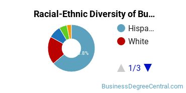 Racial-ethnic diversity of Business Administration & Management majors at Norco College