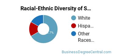 Racial-Ethnic Diversity of Small Business Administration/Management Majors at North Central College