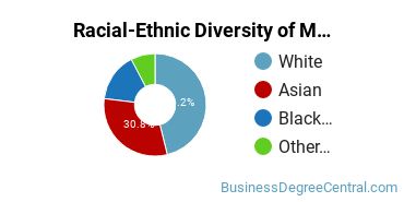Racial-ethnic diversity of Management Information Systems majors at North Hennepin Community College