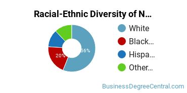 Racial-Ethnic Diversity of Non-Profit/Public/Organizational Management Majors at North Park University