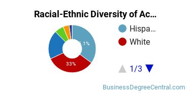 Racial-Ethnic Diversity of Accounting Majors at Northeastern Illinois University