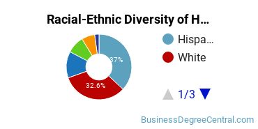 Racial-Ethnic Diversity of Human Resources Development Majors at Northeastern Illinois University
