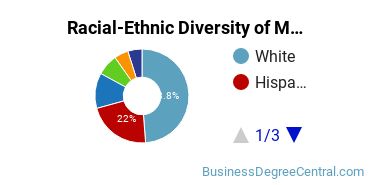 Racial-Ethnic Diversity of Marketing/Marketing Management, General Majors at Northeastern Illinois University