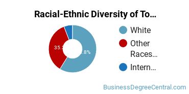 Racial-Ethnic Diversity of Tourism and Travel Services Management Majors at Northeastern State University