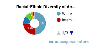 Racial-Ethnic Diversity of Accounting Majors at Northeastern University
