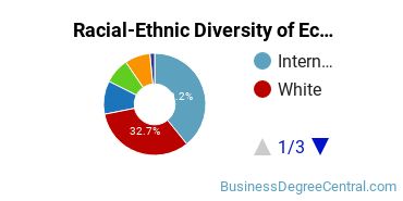 Racial-Ethnic Diversity of Econometrics & Quantitative Economics Majors at Northeastern University