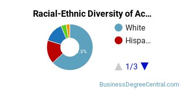 Racial-Ethnic Diversity of Accounting Majors at Northern Arizona University