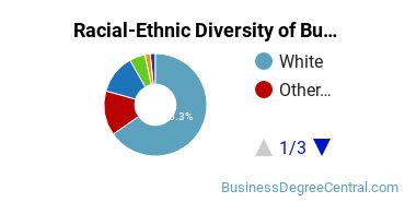 Racial-ethnic diversity of Business Administration & Management majors at Northern Arizona University