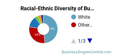 Racial-Ethnic Diversity of Business Economics Majors at Northern Arizona University