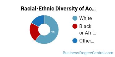 Racial-Ethnic Diversity of Accounting Majors at Northwestern State University of Louisiana