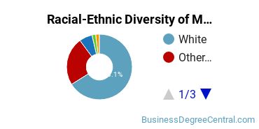 Racial-Ethnic Diversity of Marketing/Marketing Management, General Majors at Northwood University
