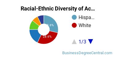 Racial-Ethnic Diversity of Accounting Technology/Technician and Bookkeeping Majors at Norwalk Community College