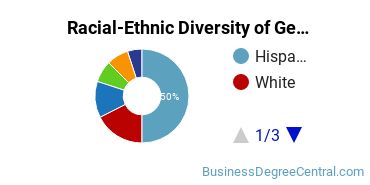 Racial-Ethnic Diversity of General Business/Commerce Majors at Norwalk Community College