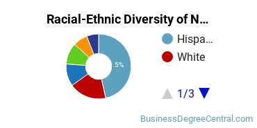 Racial-Ethnic Diversity of NDNU Undergraduate Students