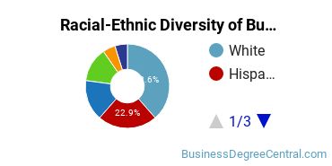 Racial-ethnic diversity of Business Administration & Management majors at Nova Southeastern University