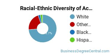 Racial-Ethnic Diversity of Accounting Majors at Oklahoma State University - Main Campus