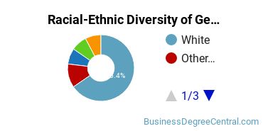 Racial-Ethnic Diversity of General Economics Majors at Oklahoma State University - Main Campus