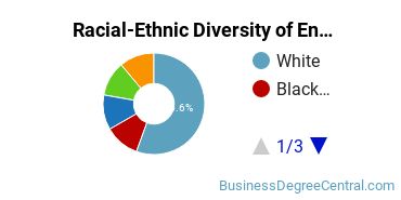 Racial-Ethnic Diversity of Entrepreneurship Majors at Oklahoma State University - Main Campus
